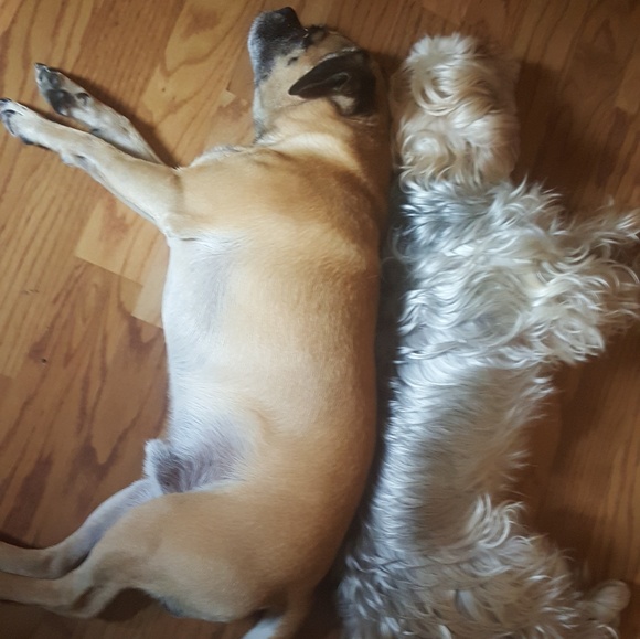 Meet your Posher, Karole - Picture 1 of 1